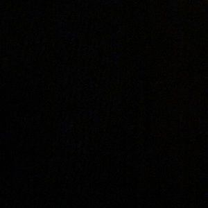 Meet your Posher, Trevor